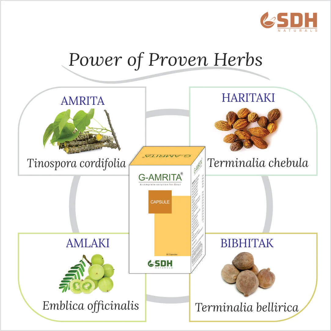 G Amrita Capsule Helps In Gout,Joint Pain Relief By Healthy Uric Acid Level,Helps Reduce Swelling&Pain,Natural Supplement For Joint Care , - Image 4