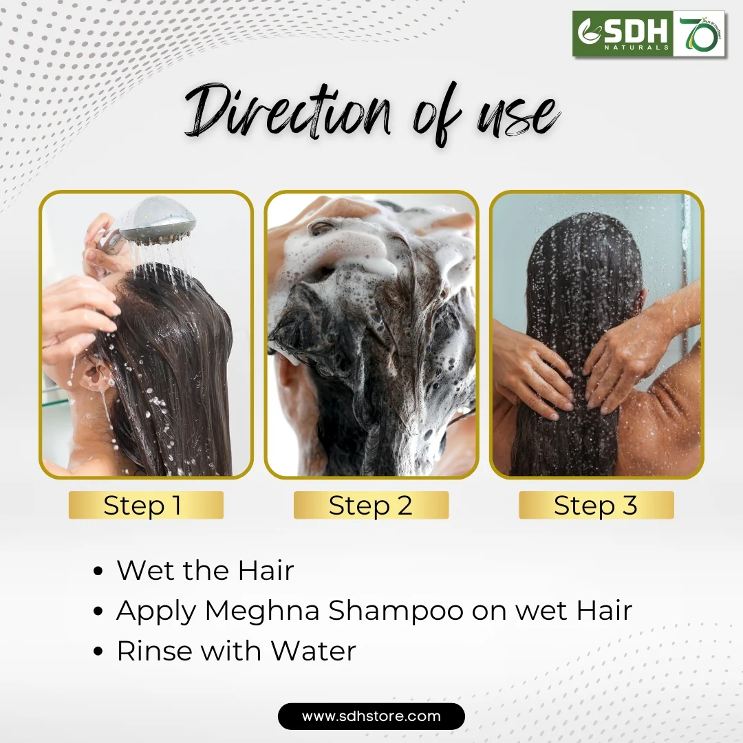 Holi Hair Care Kit : Hair Oil, Shampoo, Hair Vitalizer - Image 5