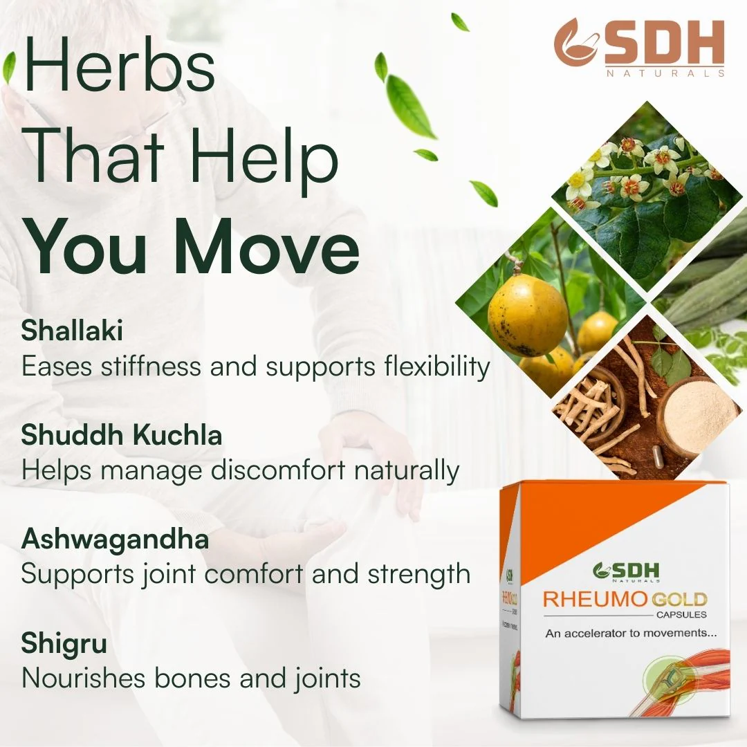 Rheumo Gold Capsules | Ayurvedic Joint & Muscle Support | With Shallaki, Shuddh Kuchla, Ashwagandha Ghan & Shigru Ghan - Image 4