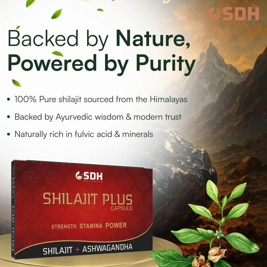 Shilajit Plus Capsules - Best Men's Health Care Supplement - Image 4